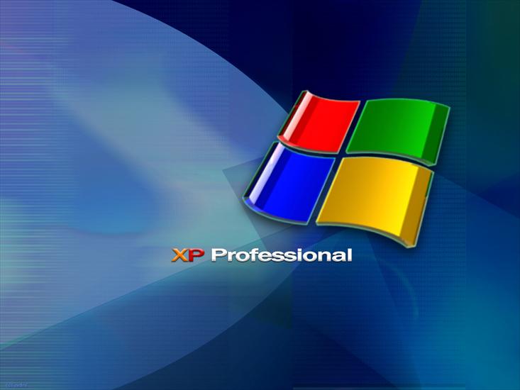 XP - XP Professional .jpg