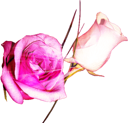 Róże - 201.gif