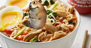 Galeria 2 - pov you find chomik in YOUR NOODLeS.jpg