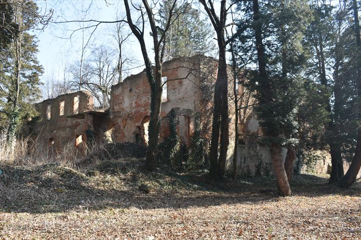 2022.03.20 04 - Grodziszcze - Ruiny pałacu - DSC_0025.JPG
