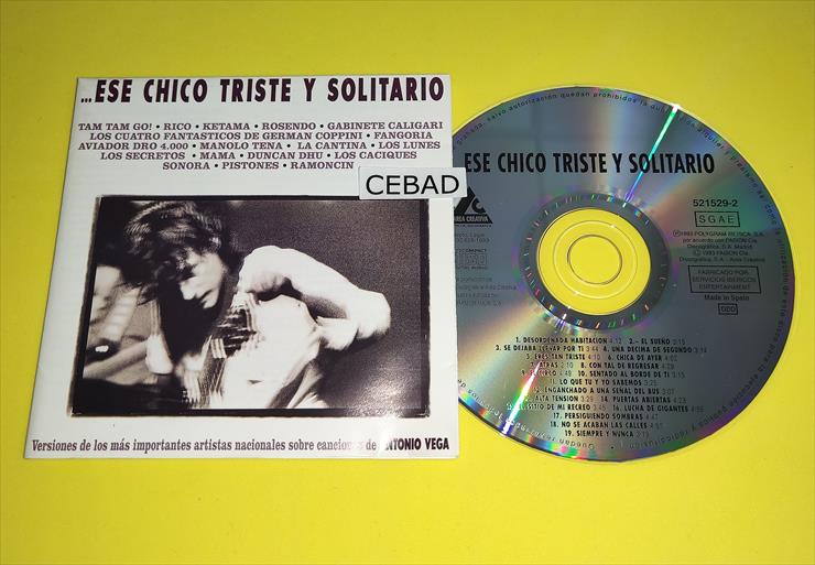 VA-..._Ese_Chico_... - 00-va-..._ese_chico_triste_y_solitario-es-cd-flac-1993-proof.jpg