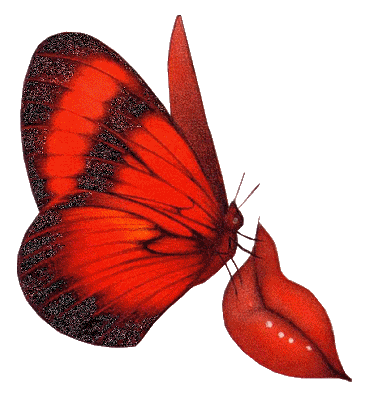 Motyle - Biedronki - owady - motyle.0033.gif